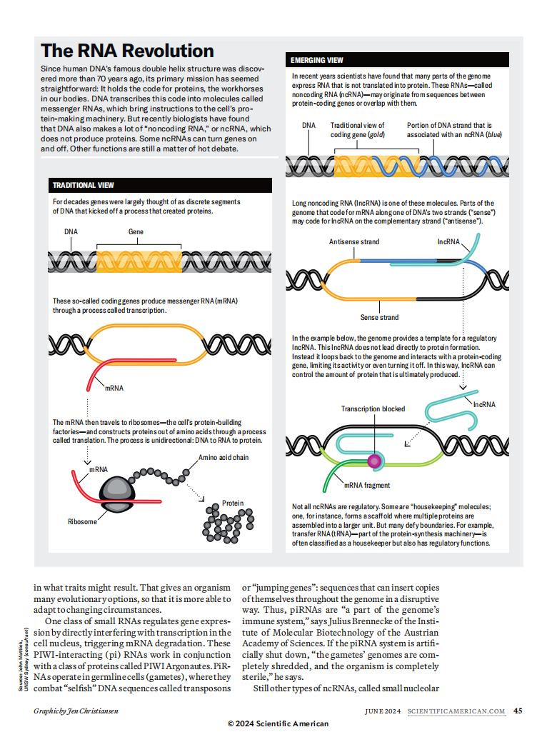 Scientific American 06.2024_waikanstore.com_46.jpg